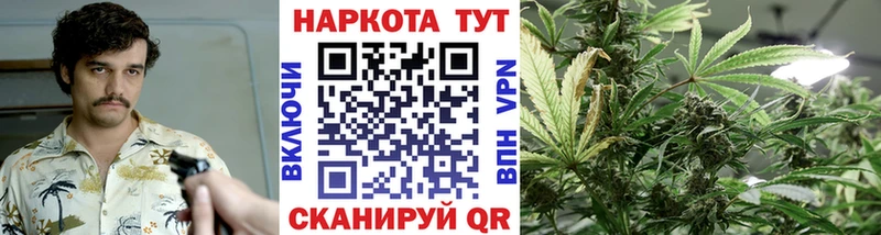 Продажа наркотиков Гай Каннабис  COCAIN  Экстази  Гашиш  Псилоцибиновые грибы 