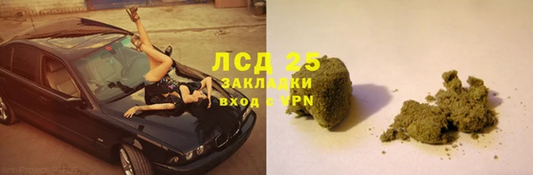 сатива Богородицк