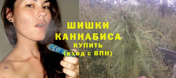 шишки Богородск