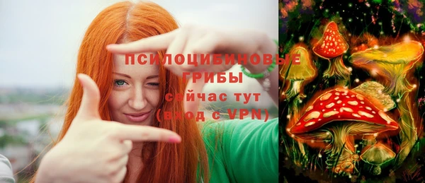 сатива Богородицк