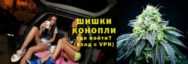сатива Богородицк