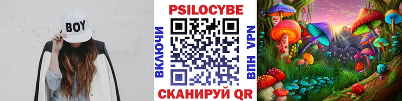 Галлюциногенные грибы MAGIC MUSHROOMS  Гай 