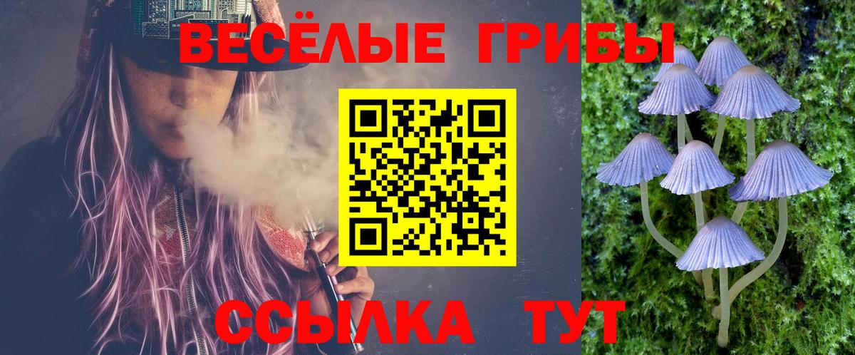 Псилоцибиновые грибы MAGIC MUSHROOMS  Гай  Псилоцибиновые грибы Psilocybe 
